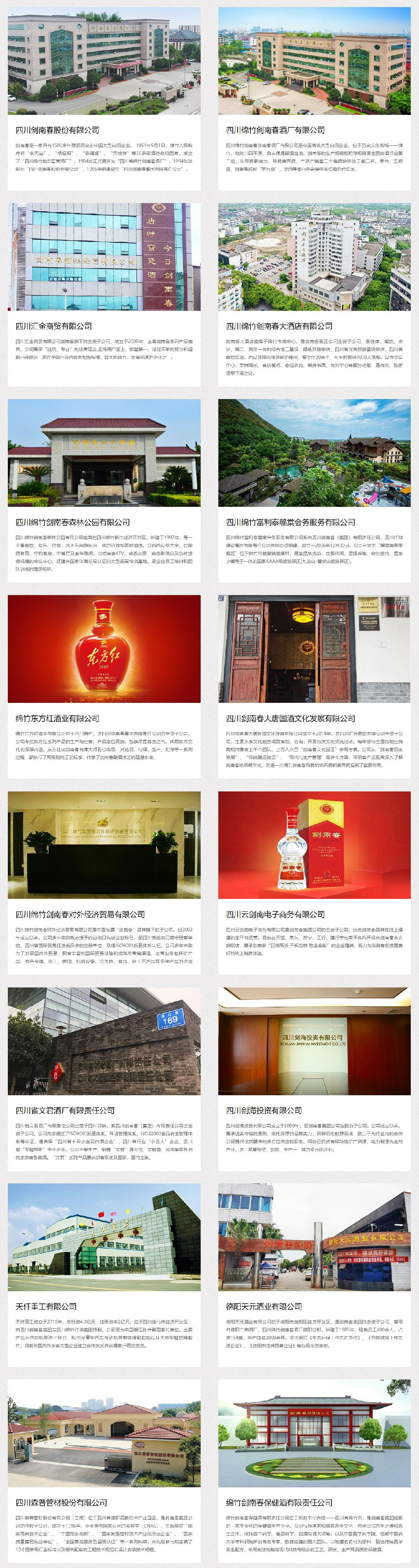 剑南春集团.jpg
